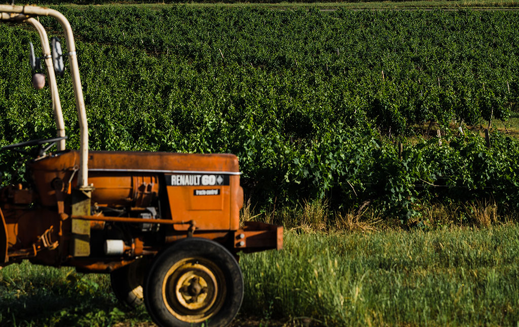 tracteur-vintage-vignes